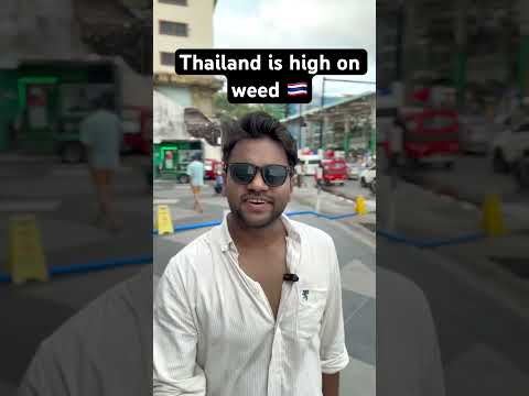 Why the F*** weed is legal in Thailand ? #travel #bali #marijuanaculture #legalization #legalise