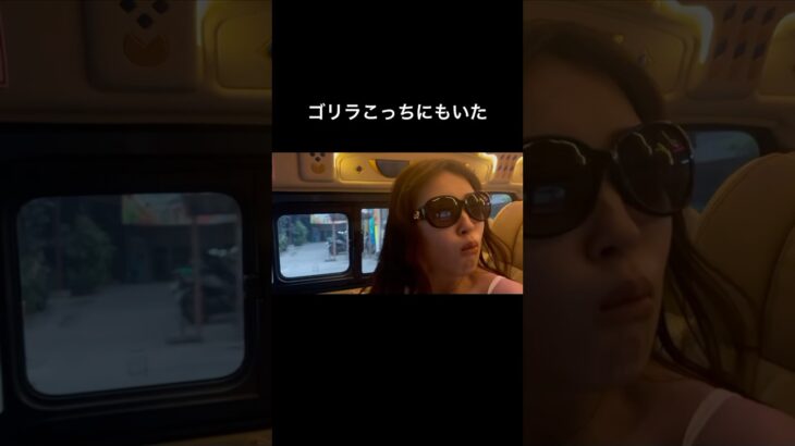 タイのタクシーの中！🚕#タイ旅行 #おすすめ #おすすめにのりたい #ootd #vlog #fyp #fypyoutube #fypage #shorts