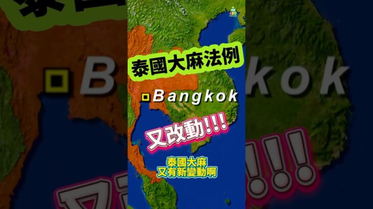 最新消息📣泰國大麻法例又有改動😳小道消息暫時係咁🫢記得關注我們💚一有新消息☝🏽馬上給大家報道👊🏽 #thailand #泰國大麻法例 #最新消息 #請緊貼我們 #關注我們 #泰國420