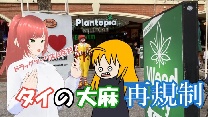 【大麻吸引ゆっくり寸劇】タイの娯楽用大麻が規制されちまうぞ！【澤田オフィスの日常】