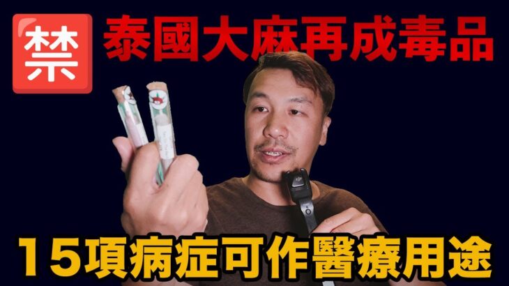 泰國大麻再變毒品！旅行不能再隨便吸，15種病症醫生開方除外！ #泰國  #曼谷 #泰國大麻 #大麻法案