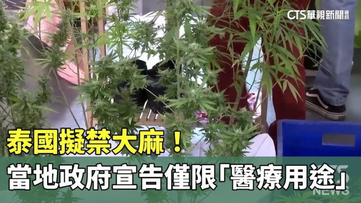 泰國擬禁大麻！　當地政府宣告僅限「醫療用途」｜華視新聞 20250625 @CtsTw