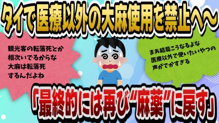 【2chスレ】タイで医療以外の大麻使用を禁止へ～「最終的には再び“麻薬”に戻す」【2chまとめ】