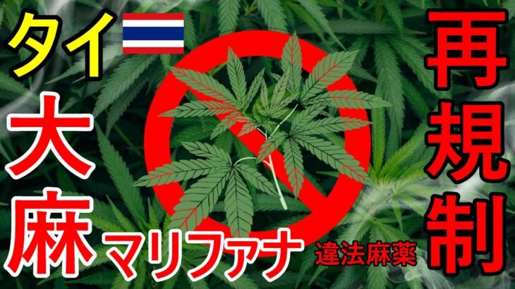 タイで大麻・マリファナ再規制、麻薬指定として違法化・娯楽吸引は厳罰化へ、再合法化は極めて低いと政府発表、各所のディスペンサリーショップに警察の立ち入り相次ぐ【バンコクドライブ時事解説】【4K】