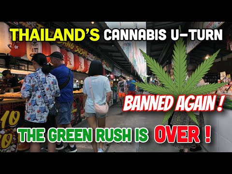 Cannabis U-Turn in Thailand – Thailand Bans Weed… Again. 🇹🇭