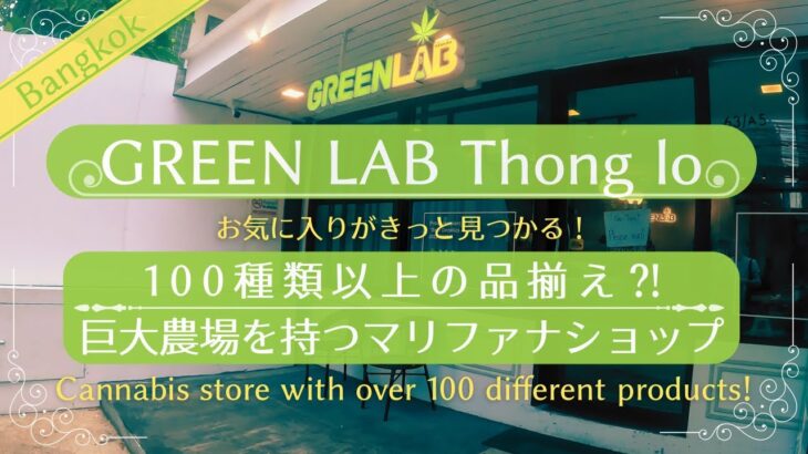 【タイ】広大な農場とラボを持つマリファナ屋！『Green Lab』 オリジナル品種も沢山！