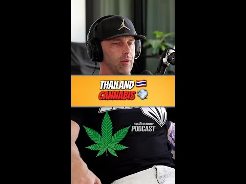 Is THC Legal in Thailand? 🌿 Here’s the Truth About Flower & Extracts