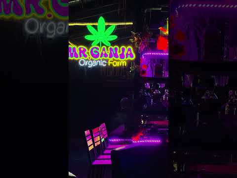 Mr. Ganja 🌿 | Ganja Shop in Phuket, Thailand #Phuket #MrGanja #CannabisThailand #GanjaShop