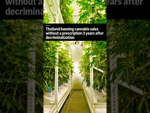 Thailand Bans Cannabis Sales Without A Prescription 3 Years After Decriminalization 🤔