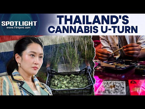 Thailand Bans Cannabis Sales Without Prescription 3 Years After Decriminalisation | Spotlight | N18G