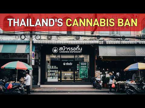 Thailand Cannabis Law 2025: RECREATIONAL BAN & New Rules