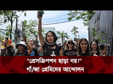 “প্রেসক্রিপশন ছাড়া মিলবে না ‘সবুজ পাতা’? উঠেছে আন্দোলনের ঝড়” |Thailand cannabis law |Cannabis