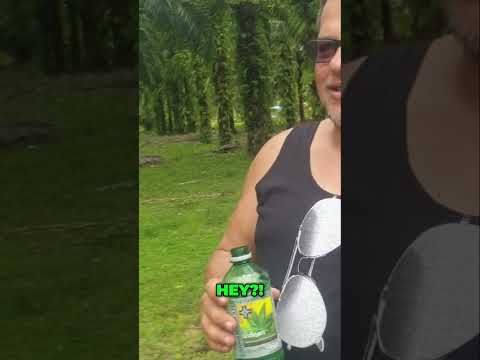 Thailand is 420 Friendly?! You Won’t Believe What 711 sells!