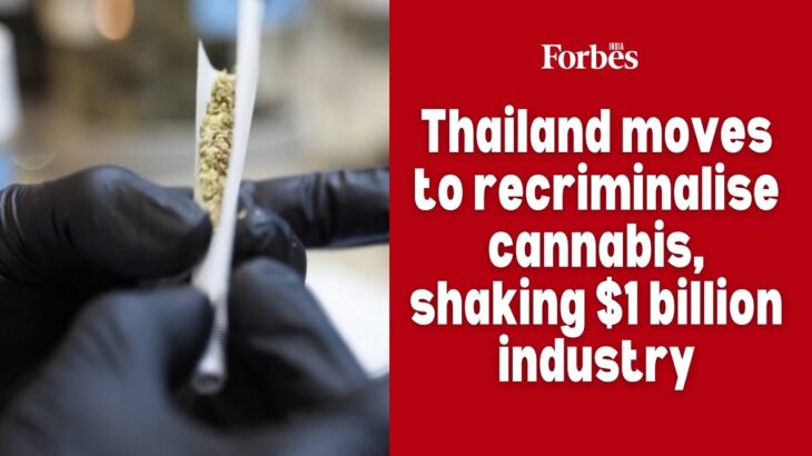 Thailand moves to recriminalise cannabis, shaking $1 billion industry