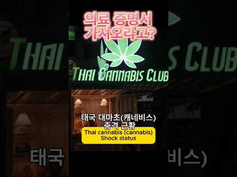 [태국뉴스_방콕 포스트] 대마초 피울거면, 의료증명서! [Thailand news] Thai cannabis free? No more!  #이슈 #태국 #태국여행