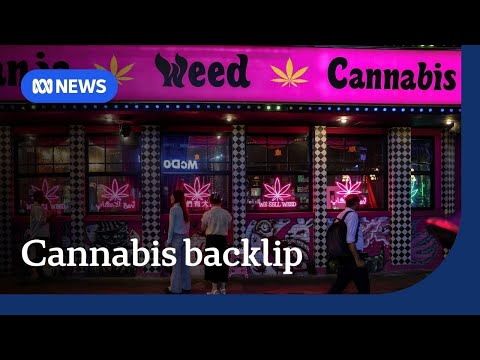 Thailand set to reverse de-criminalisation of cannabis | The World | ABC NEWS