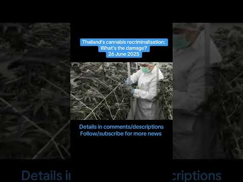Thailand’s cannabis recriminalisation: What’s the damage?