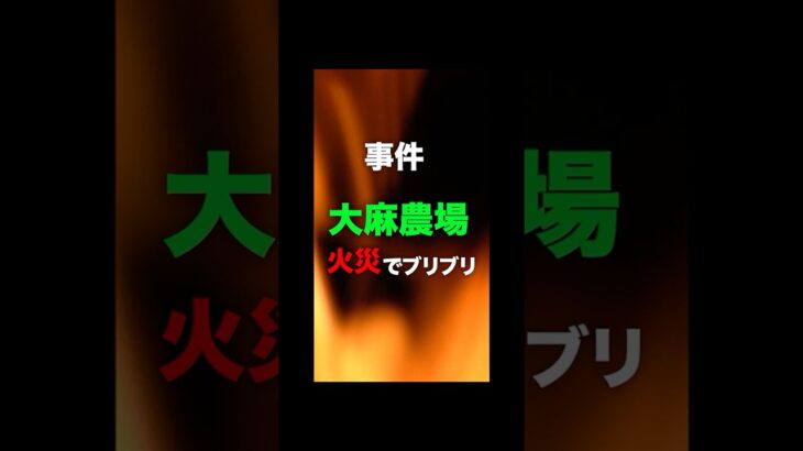 火災なのに爆笑⁉タイの麻農園でまさかの珍事件！