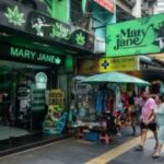 タイ、大麻販売制限の新たな提案