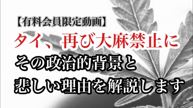 【緊急】タイで大麻が再び違法に！合法化から一転、なぜ？背後にある政治と利権とは？