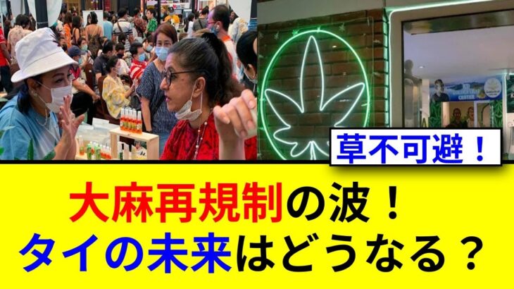 タイの大麻合法化の裏側は？再び違法化の危機！