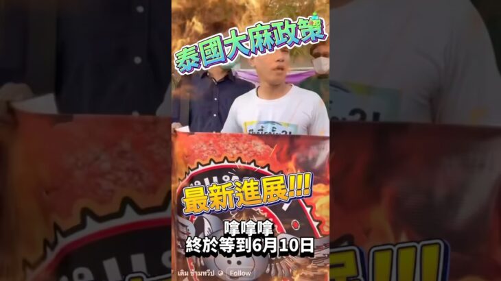 🔥 泰國大麻新鮮出爐！🌿 等了幾天終於又有新進展！但… 只是… 想知全套後續?📲 不要錯過，切勿失聯💚 …#泰國大麻 #最新資訊 #一直跟進 #關注我們