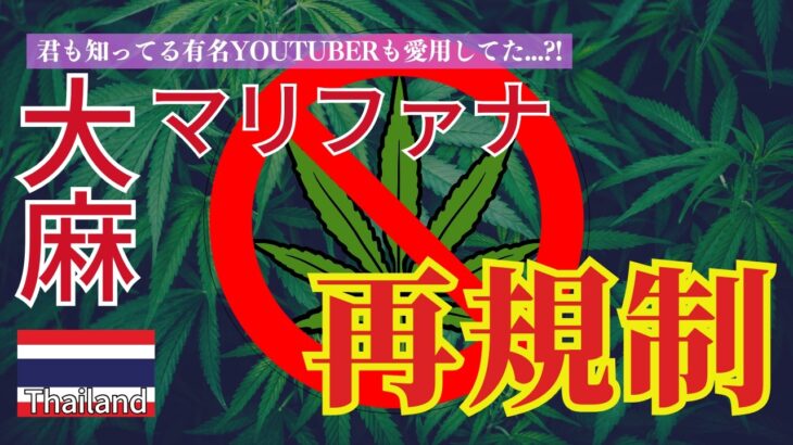 タイ、大麻(ﾏﾘﾌｧﾅ)再び違法化へ？合法化から3年で何が起きたのか