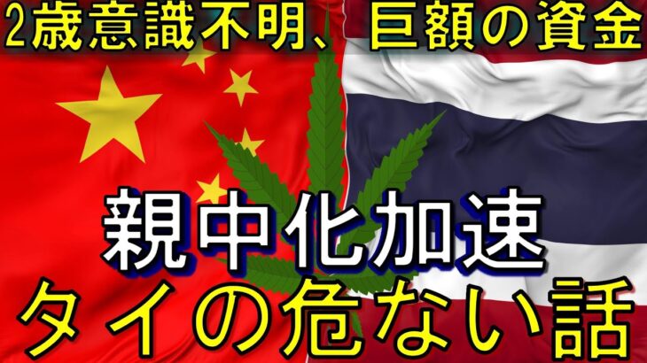 【タイ最新ニュース3選】2歳が大麻で意識不明!?／寺に巨額預金の謎／親中政策が加速！