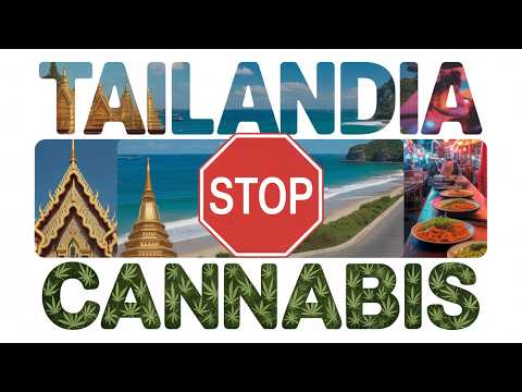 Alerta Tailandia 2025: Cannabis Ilegal, Leyes y Multas