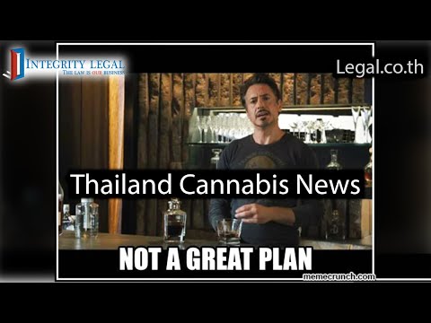 Many Foreigners “Trying to Export Cannabis from Thailand”?
