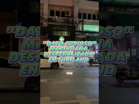 ¡Marihuana en Tailandia! Lo que nadie te cuenta 😳🇹🇭