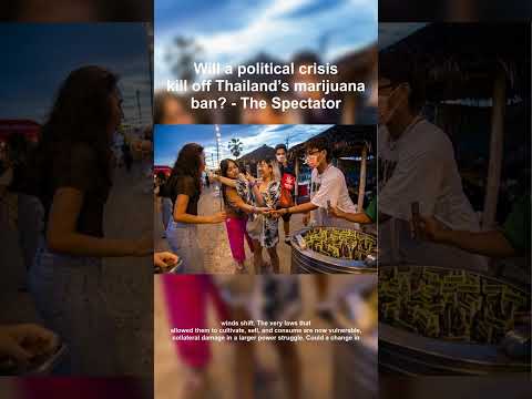 Thai Weed Legalization in Peril