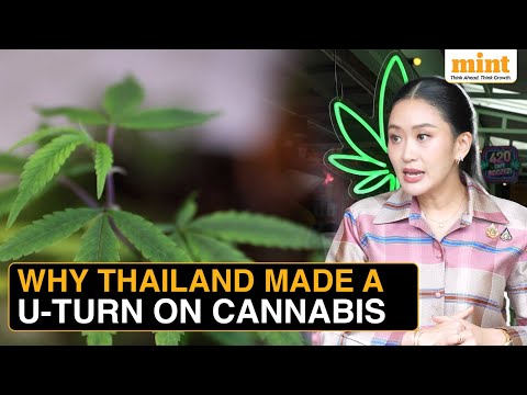 Thailand Throws $1.2 Billion Industry In Limbo As It Bans Cannabis, 3 Years After Decriminalization