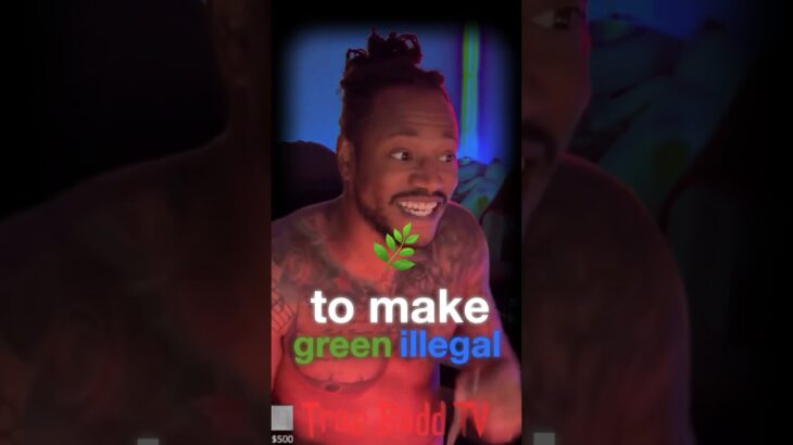 Thailand is trying to get rid of cannabis!! #funny #thailand #cannabiseducation #short #shorts