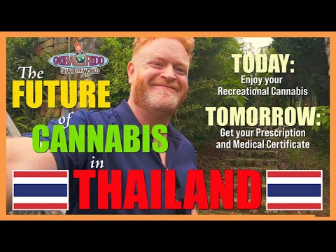 UPDATED: 2025 Cannabis in Thailand — Enjoy It TODAY … Get a Medical Certificate TOMORROW