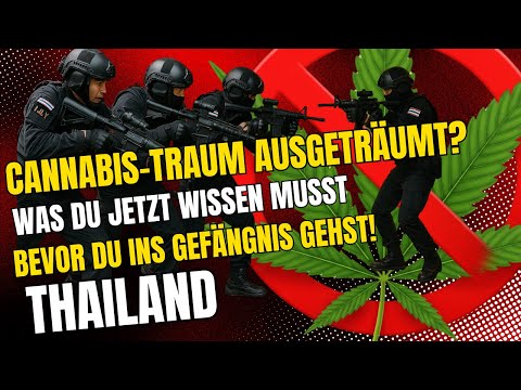 WARNUNG! Cannabis in Thailand: Dieses Video SPART dir Ärger & HOHES Bußgeld! (Aktuelles 2025)