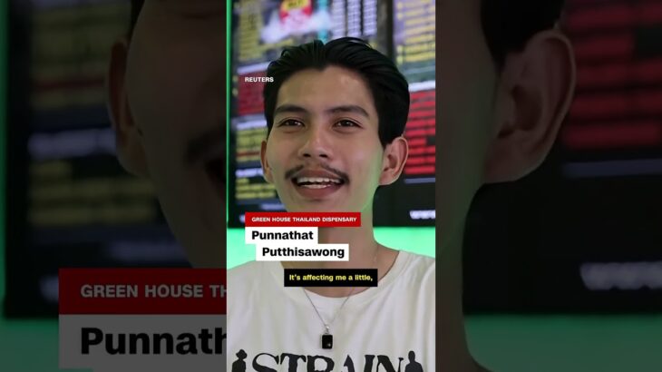 Why Thailand Reversed Cannabis Legalization Shocker #shorts