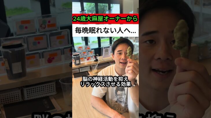 不眠症には大麻が効くってほんと….?#shorts #解説 ＃起業＃タイ