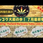 バンコクの大麻事情【７月最新版】現地のリアルをお届けします！