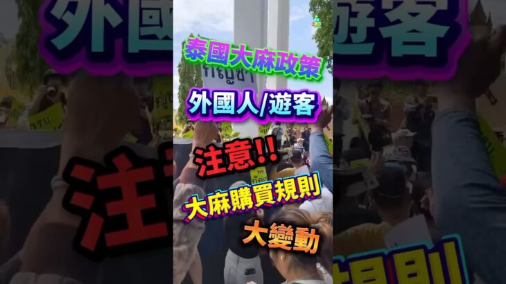 ⚠️ 外國人買大麻要返自己國家拎醫生紙‼️泰國內部消息話月尾開始嚴查🌿#大麻政策 #泰國大麻 #外國人注意