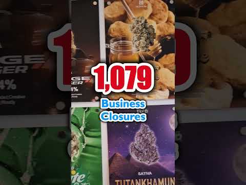 2025 Thailand Recreational Cannabis Ban? – By the Numbers
