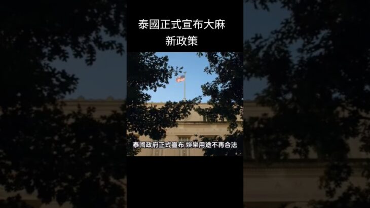 今年6月泰國宣布大麻行政策