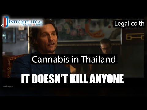 Childishness Unproductive Regarding Thai Cannabis Issues?