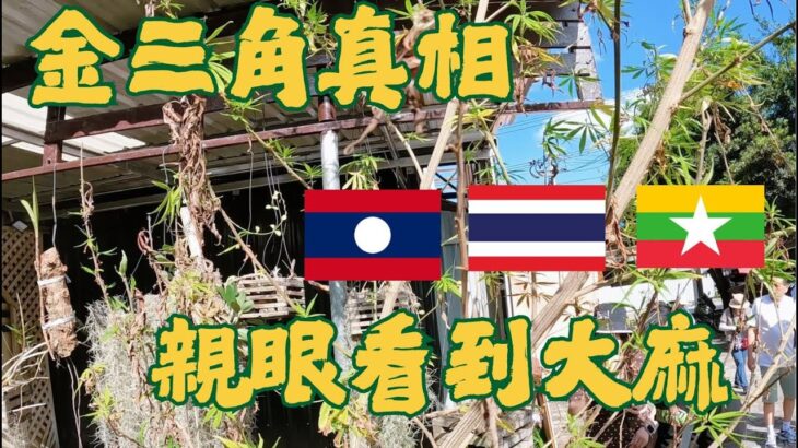 親眼看到大麻！#金三角的真相震撼我整個旅程 House of Opium