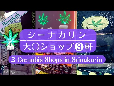 バンコク・シーナカリンで見つけたユニークショップ３軒【Suan Luang Rama 9】