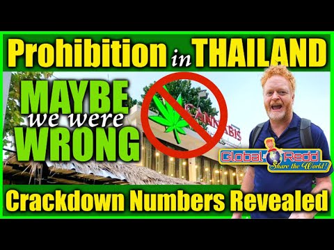 Thailand’s Cannabis Crackdown by the Numbers – Aug 13 2025 🚫 | Suspensions, Seizures & Shutdowns