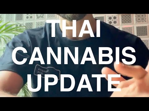 Thailand’s New Weed Law Explained 🌿 | What It Means for You (2025 Update)