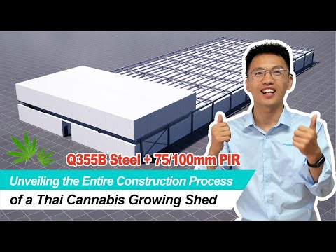 Unveiling the Entire Construction Process of a Thai Cannabis Growing Shed#bangkok #thailand#building