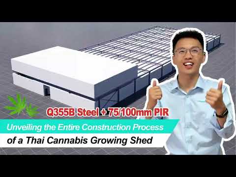 Unveiling the Entire Construction Process of a Thai Cannabis Growing Shed#bangkok #thailand#building