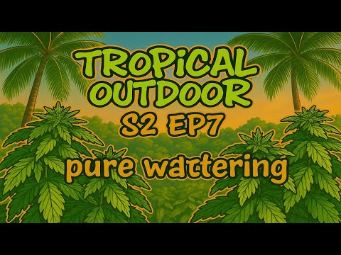 Weed Watering | Homegrown Cannabis Tropical Thailand 2025 Outdoor marijuana grow Se. 2 E. 4 #BudHead